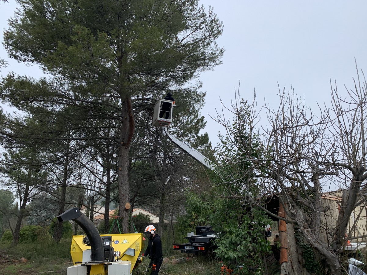 l arbre a pain gardanne